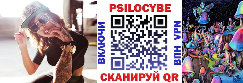 Псилоцибиновые грибы Cubensis  Купить  Торжок 